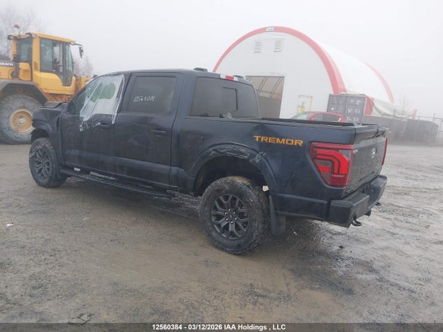 Продажа на аукционе авто 2024 Ford F-150 Tremor, vin: 1FTFW4L84RFC18955, номер лота: 12560384