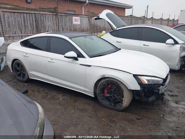 12560388 :رقم المزاد ، WAUB4CF57MA010197 vin ، 2021 Audi S5 3.0t Technik مزاد بيع