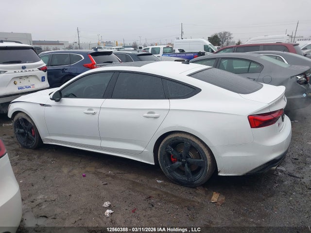 12560388 :رقم المزاد ، WAUB4CF57MA010197 vin ، 2021 Audi S5 3.0t Technik مزاد بيع