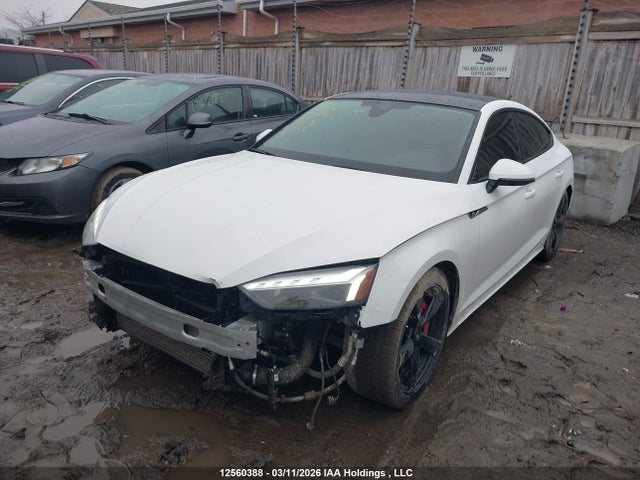 12560388 :رقم المزاد ، WAUB4CF57MA010197 vin ، 2021 Audi S5 3.0t Technik مزاد بيع