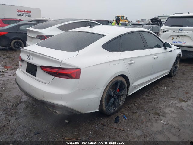 12560388 :رقم المزاد ، WAUB4CF57MA010197 vin ، 2021 Audi S5 3.0t Technik مزاد بيع