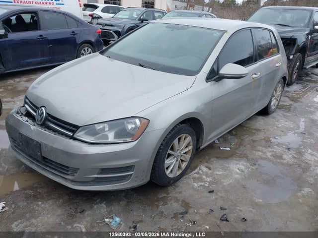 3VW217AU5GM065799 Volkswagen Golf