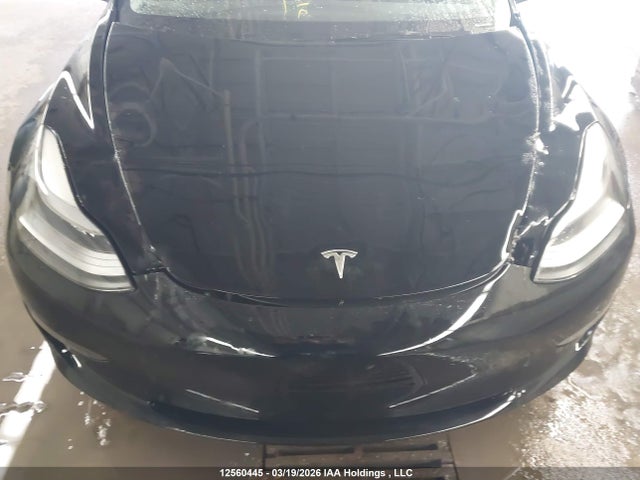 Продажа на аукционе авто 2023 Tesla Model 3, vin: 5YJ3E1EA9PF404724, номер лота: 12560445