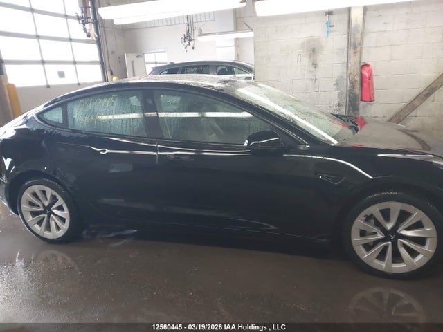 Продажа на аукционе авто 2023 Tesla Model 3, vin: 5YJ3E1EA9PF404724, номер лота: 12560445