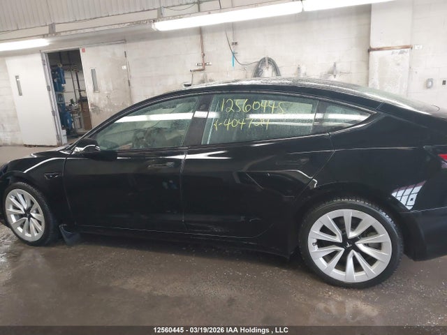 Продажа на аукционе авто 2023 Tesla Model 3, vin: 5YJ3E1EA9PF404724, номер лота: 12560445