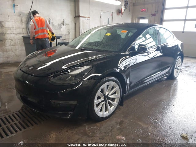 Продажа на аукционе авто 2023 Tesla Model 3, vin: 5YJ3E1EA9PF404724, номер лота: 12560445