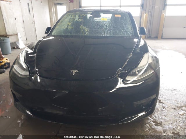 Продажа на аукционе авто 2023 Tesla Model 3, vin: 5YJ3E1EA9PF404724, номер лота: 12560445