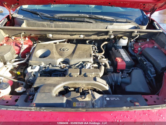 12560456 :رقم المزاد ، 2T3R1RFV4KC003253 vin ، 2019 Toyota Rav4 Xle مزاد بيع