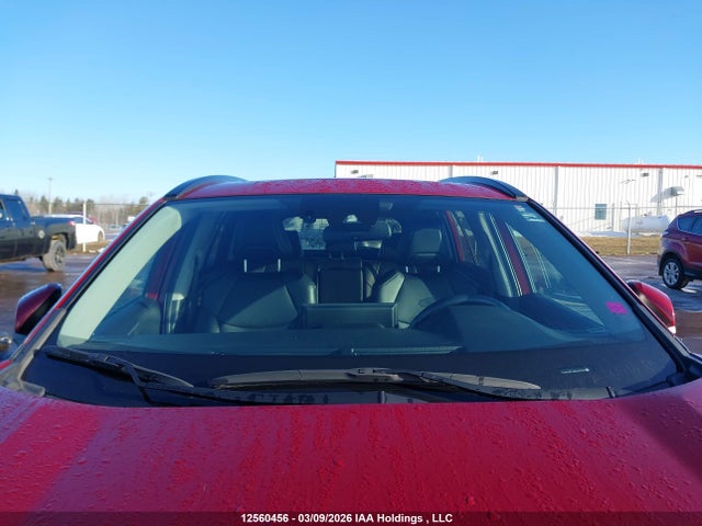 12560456 :رقم المزاد ، 2T3R1RFV4KC003253 vin ، 2019 Toyota Rav4 Xle مزاد بيع