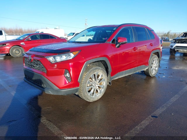 12560456 :رقم المزاد ، 2T3R1RFV4KC003253 vin ، 2019 Toyota Rav4 Xle مزاد بيع