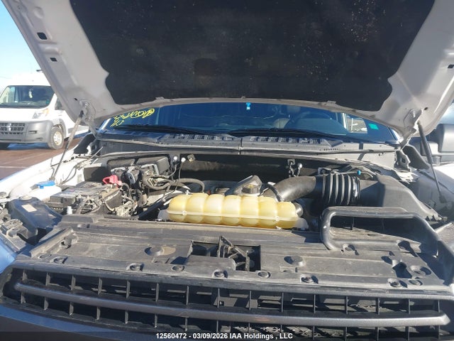 2019 Ford F-150 Xlt მანქანა იყიდება აუქციონზე, vin: 1FTEW1E50KFD04363, აუქციონის ნომერი: 12560472