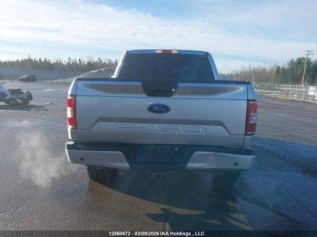 2019 Ford F-150 Xlt მანქანა იყიდება აუქციონზე, vin: 1FTEW1E50KFD04363, აუქციონის ნომერი: 12560472