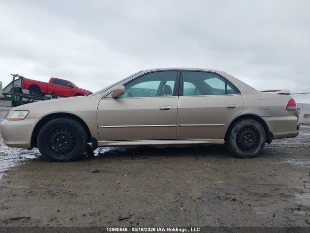 12560545 :رقم المزاد ، 1HGCG56662A813648 vin ، 2002 Honda Accord Ex مزاد بيع