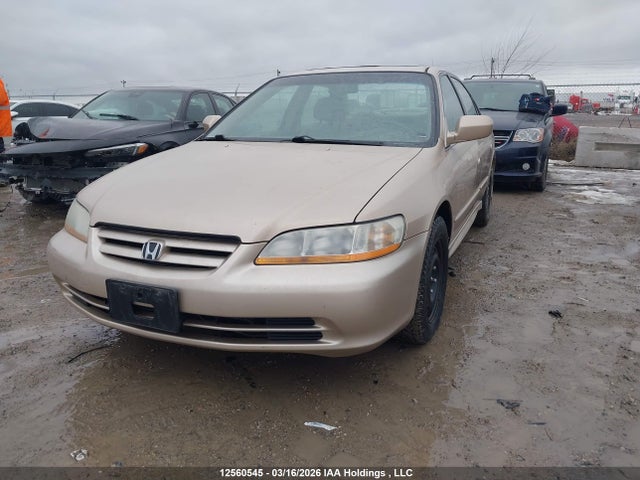 12560545 :رقم المزاد ، 1HGCG56662A813648 vin ، 2002 Honda Accord Ex مزاد بيع