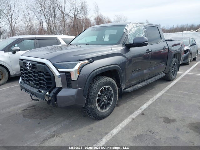 Продаж на аукціоні авто 2022 Toyota Tundra, vin: 5TFLA5DB6NX006516, номер лоту: 12560638