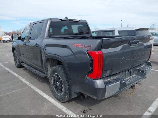 Продаж на аукціоні авто 2022 Toyota Tundra, vin: 5TFLA5DB6NX006516, номер лоту: 12560638