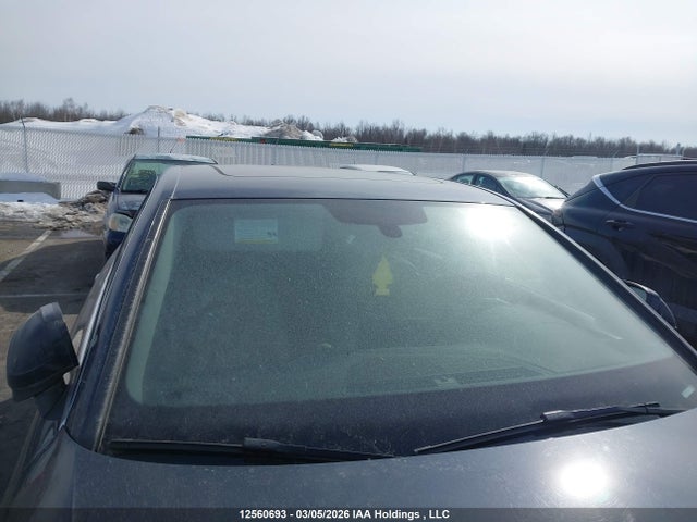 WAUANAF48HN023821 Audi A4 PREMIUM