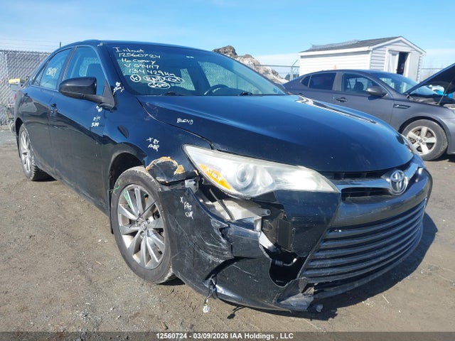 4T1BF1FK1GU594117 Toyota CAMRY XLE