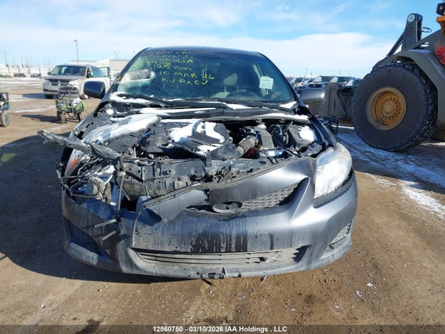 2009 Toyota Corolla S/le/xle მანქანა იყიდება აუქციონზე, vin: 2T1BU40EX9C085108, აუქციონის ნომერი: 12560750