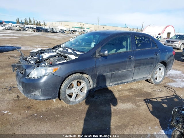 2009 Toyota Corolla S/le/xle მანქანა იყიდება აუქციონზე, vin: 2T1BU40EX9C085108, აუქციონის ნომერი: 12560750