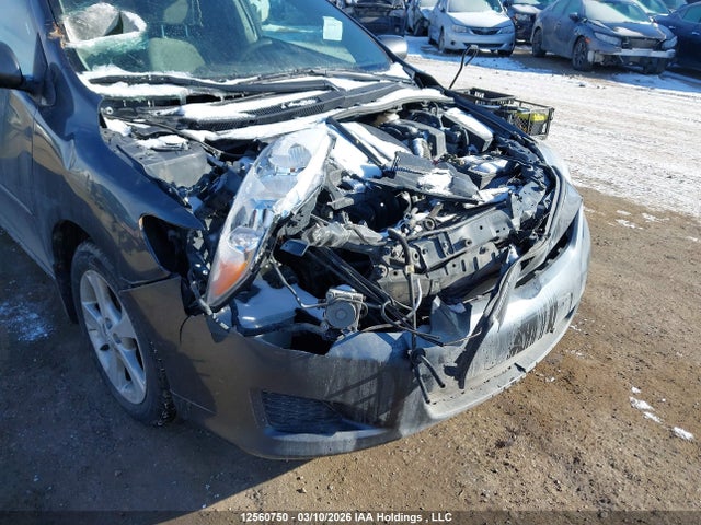2009 Toyota Corolla S/le/xle მანქანა იყიდება აუქციონზე, vin: 2T1BU40EX9C085108, აუქციონის ნომერი: 12560750