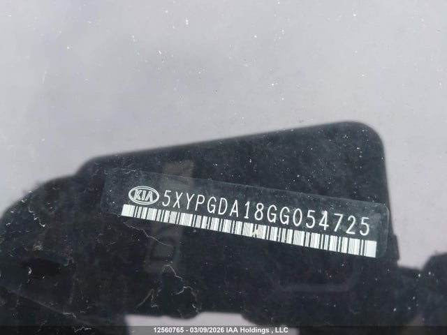 5XYPGDA18GG054725 KIA Sorento