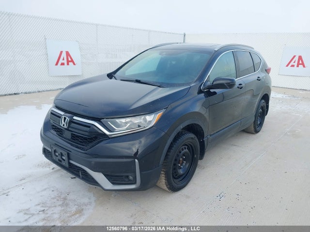 2HKRW2H46LH222865 Honda Cr-v Sport