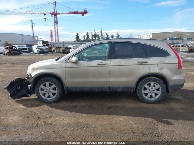 Aukcja sprzedaży 2009 Honda Cr-v Ex-l, vin: 5J6RE487X9L801493, numer aukcji: 12560799
