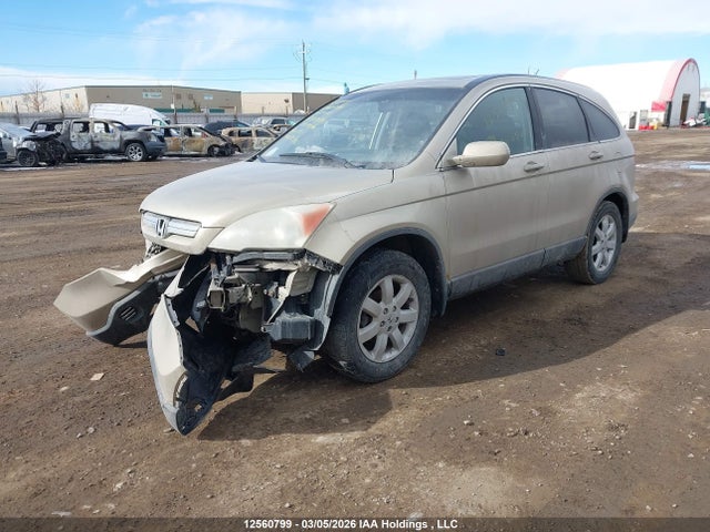 Aukcja sprzedaży 2009 Honda Cr-v Ex-l, vin: 5J6RE487X9L801493, numer aukcji: 12560799