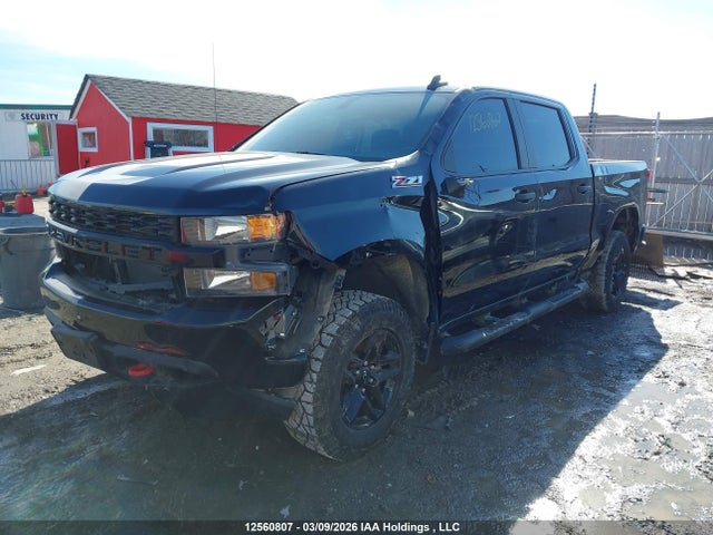 2021 Chevrolet Silverado K1500 Trail Boss Custom მანქანა იყიდება აუქციონზე, vin: 1GCPYCEF4MZ260313, აუქციონის ნომერი: 12560807
