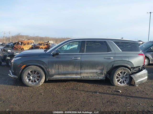 KM8R5DGE8PU560610 Hyundai Palisade Ultimate Calligraphy