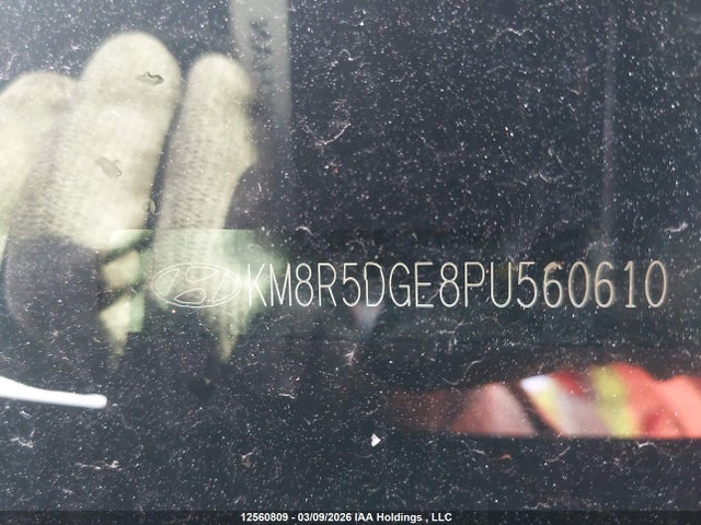 KM8R5DGE8PU560610 Hyundai Palisade Ultimate Calligraphy