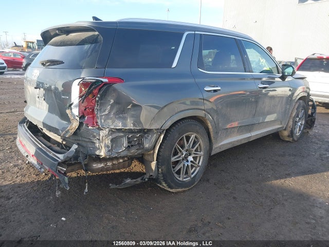 KM8R5DGE8PU560610 Hyundai Palisade Ultimate Calligraphy