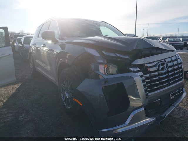 KM8R5DGE8PU560610 Hyundai Palisade Ultimate Calligraphy