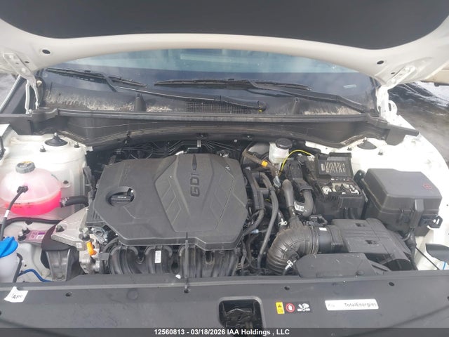 12560813 :رقم المزاد ، KNDPVCDF3R7295406 vin ، 2024 Kia Sportage Ex مزاد بيع