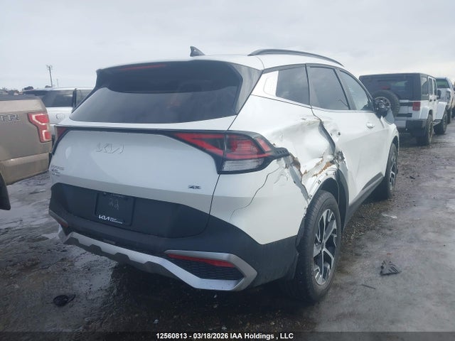 12560813 :رقم المزاد ، KNDPVCDF3R7295406 vin ، 2024 Kia Sportage Ex مزاد بيع