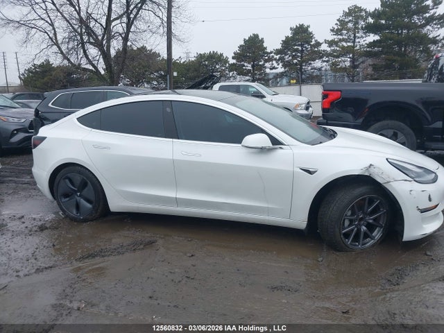 2020 Tesla Model 3 Standard Range Plus მანქანა იყიდება აუქციონზე, vin: 5YJ3E1EA0LF715680, აუქციონის ნომერი: 12560832