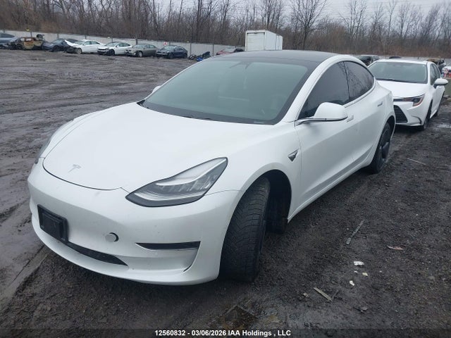 Продажа на аукционе авто 2020 Tesla Model 3 Standard Range Plus, vin: 5YJ3E1EA0LF715680, номер лота: 12560832