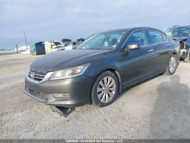 12560839 :رقم المزاد ، 1HGCR2F80DA804408 vin ، 2013 Honda Accord Ex-l مزاد بيع