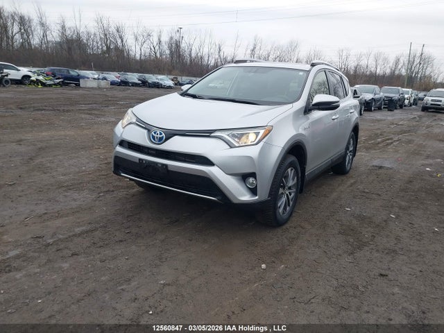 JTMRJREV8GD015765 Toyota Rav4 Hv Xle