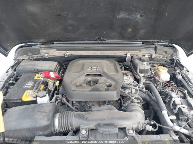 Продаж на аукціоні авто 2021 Jeep Wrangler Unlimited Sahara, vin: 1C4HJXEN2MW866959, номер лоту: 12560848