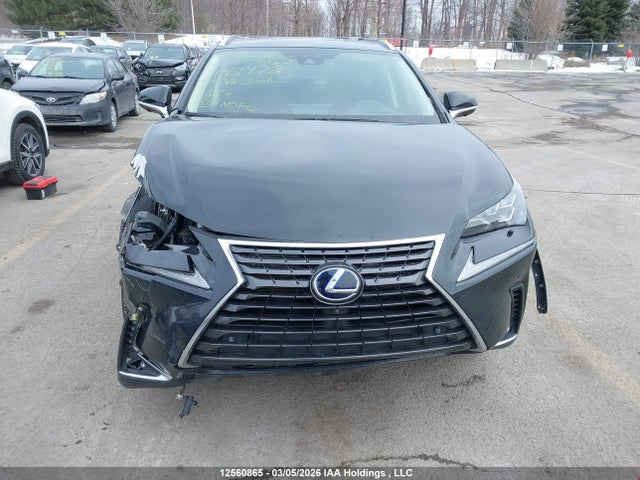 JTJHJRDZ4L2143472 Lexus NX 300H