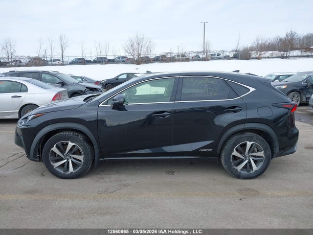 JTJHJRDZ4L2143472 Lexus NX 300H
