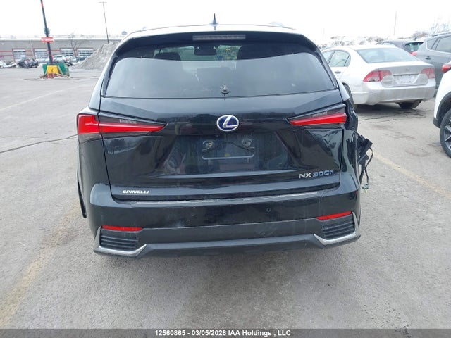 JTJHJRDZ4L2143472 Lexus NX 300H