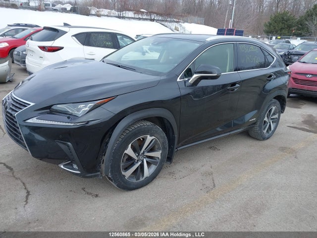 JTJHJRDZ4L2143472 Lexus NX 300H