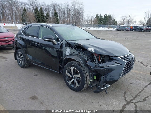 JTJHJRDZ4L2143472 Lexus NX 300H
