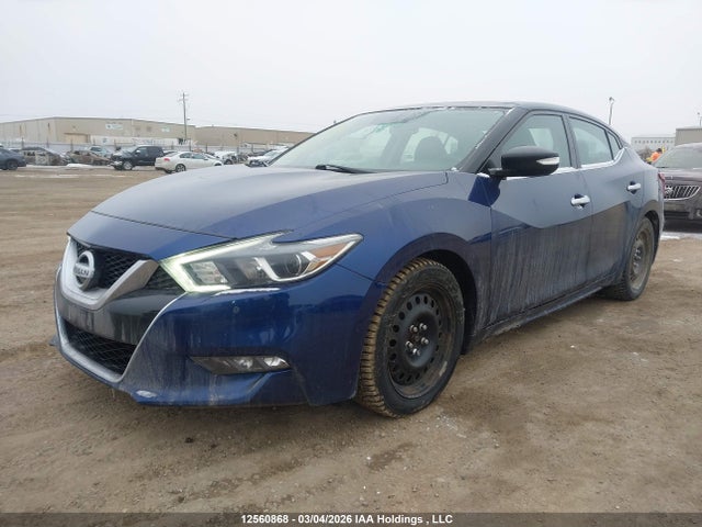 Продажа на аукционе авто 2016 Nissan Maxima 3.5s/sv/sl/sr/plat, vin: 1N4AA6AP4GC378983, номер лота: 12560868