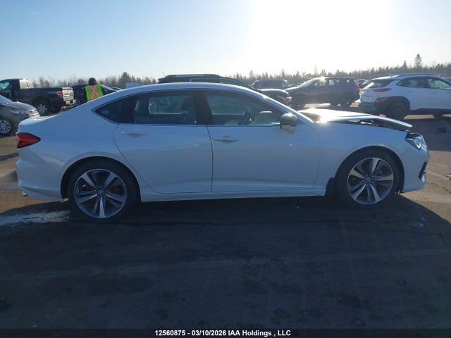 19UUB6F92MA800241 Acura Tlx Platinum Elite