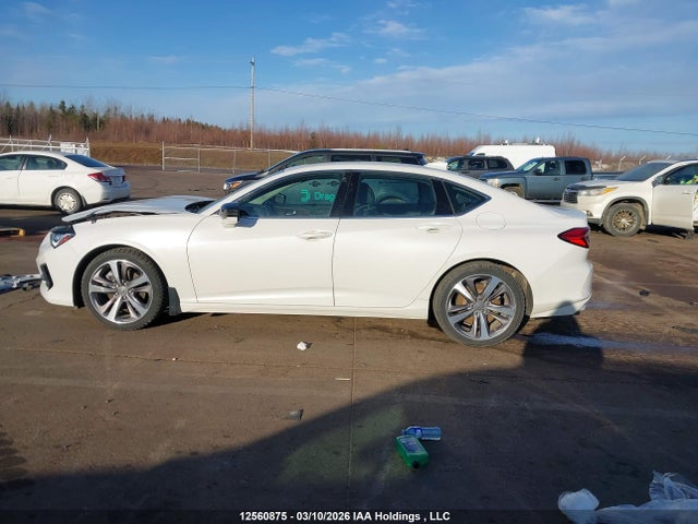 19UUB6F92MA800241 Acura Tlx Platinum Elite