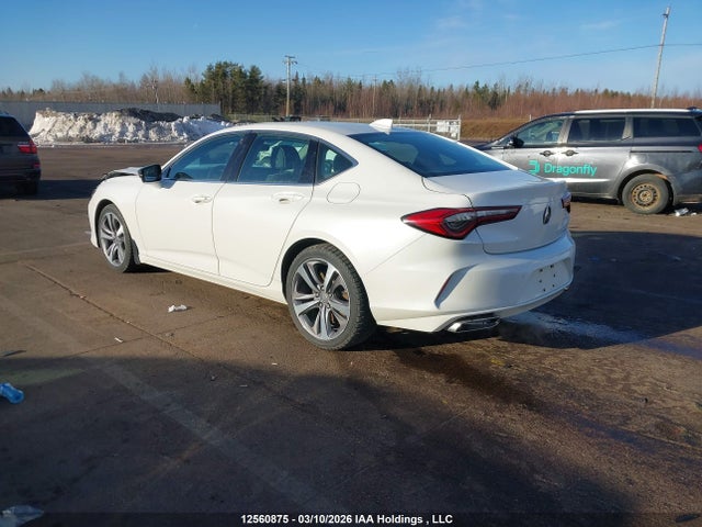 19UUB6F92MA800241 Acura Tlx Platinum Elite